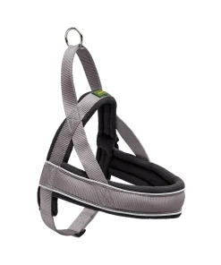 PETTORINA NORWEGIAN RACING XL GRIGIO